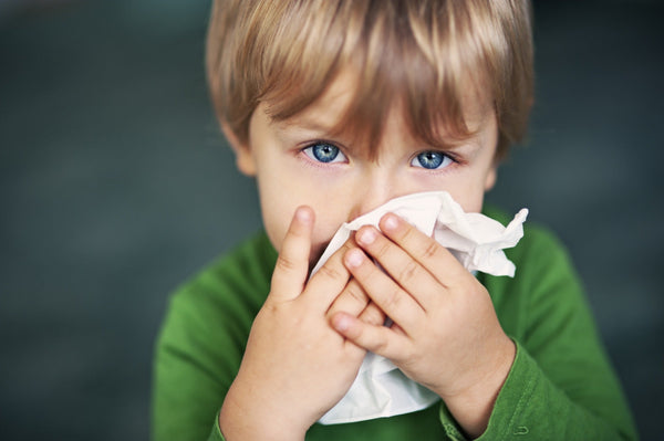 8 Signs Your Immune System Needs More Support
