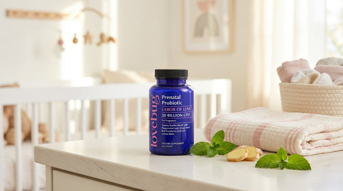 Best prenatal probiotic for first-time moms experiencing digestive issues