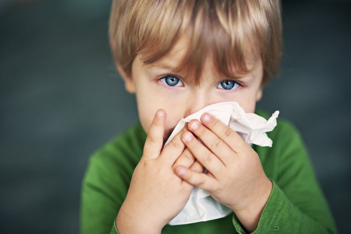 8 Signs Your Immune System Needs More Support